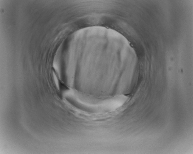 X0000070370035200606301907