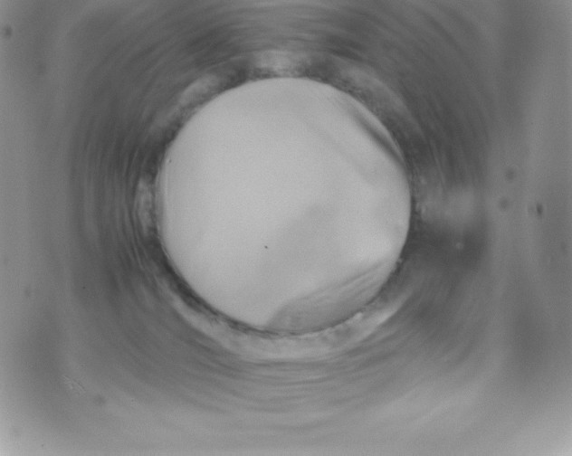 X0000070370036200606301907