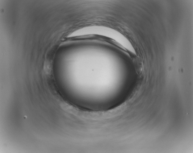 X0000070370037200606301907