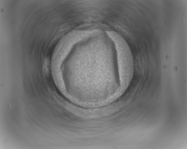 X0000070370038200606301907