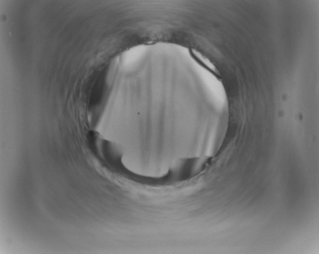 X0000070370039200606301907