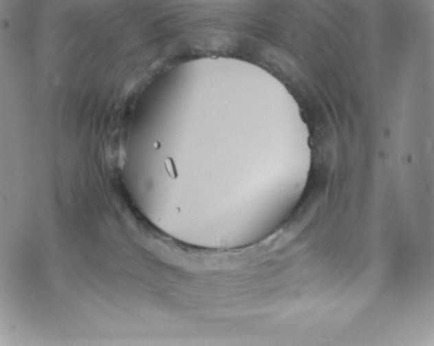 X0000070370040200606301907