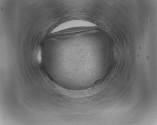 X0000070370042200606301907