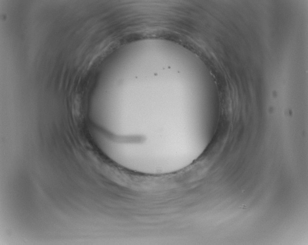 X0000070370044200606301907