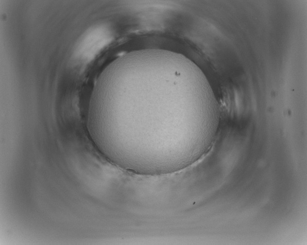 X0000070370045200606301907