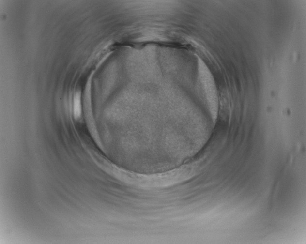 X0000070370046200606301907