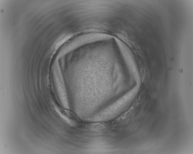 X0000070370050200606301906