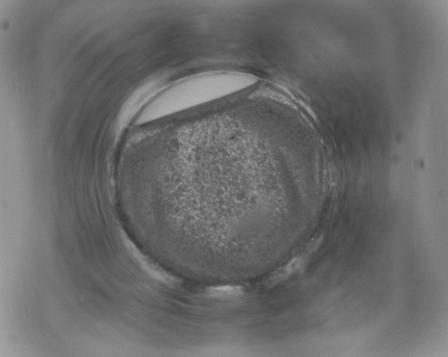 X0000070370053200606301906