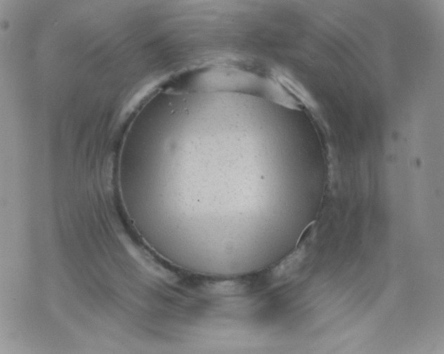 X0000070370058200606301906