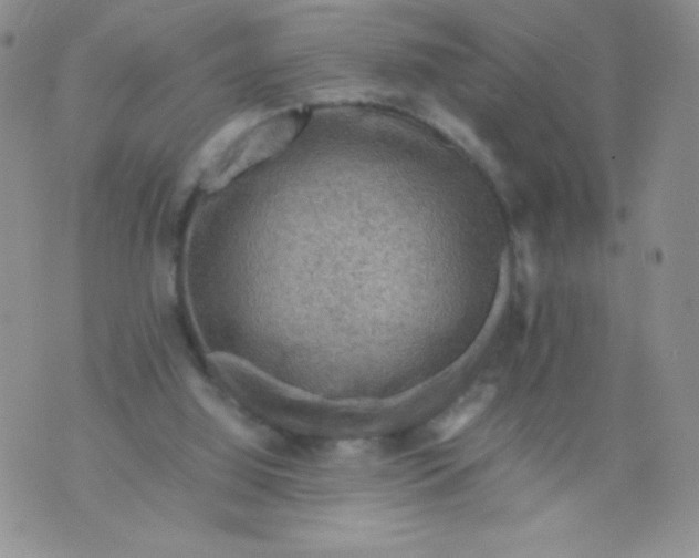 X0000070370060200606301906