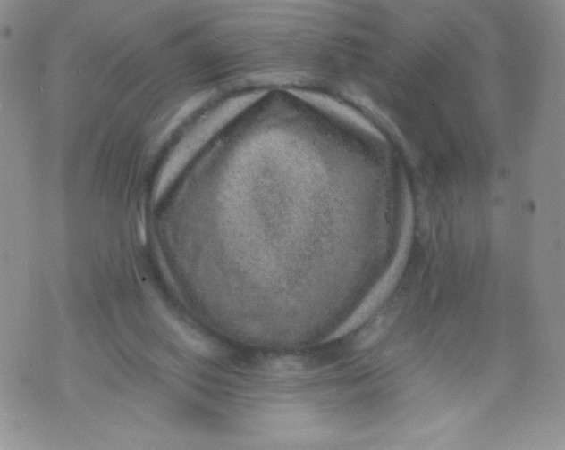 X0000070370062200606301906