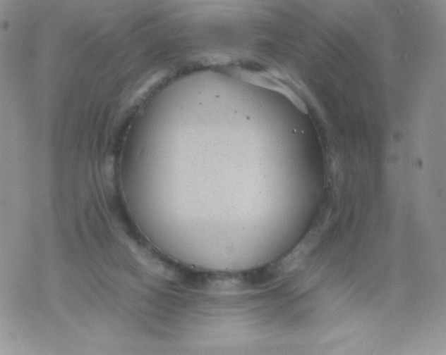 X0000070370066200606301906