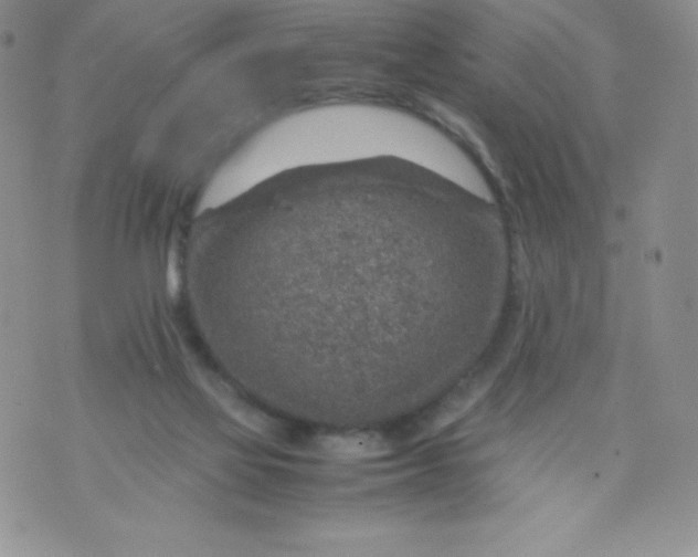 X0000070370069200606301907