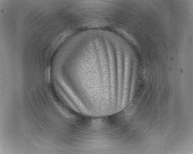 X0000070370070200606301907