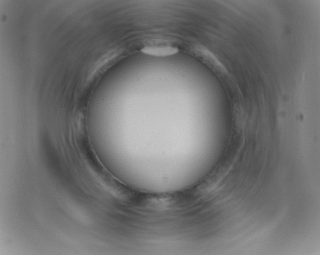 X0000070370071200606301907