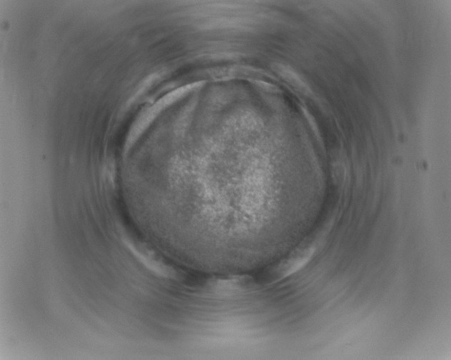 X0000070370072200606301907