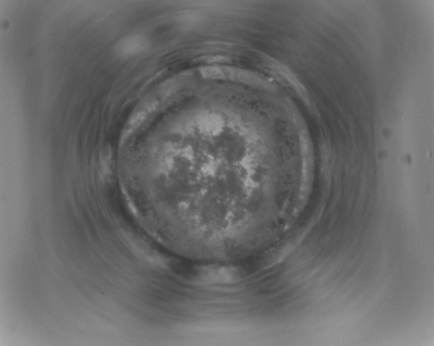 X0000070370073200606301907