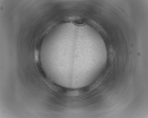 X0000070370075200606301907