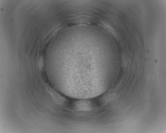 X0000070370077200606301907