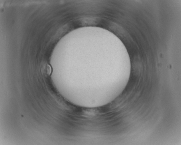 X0000070370079200606301907