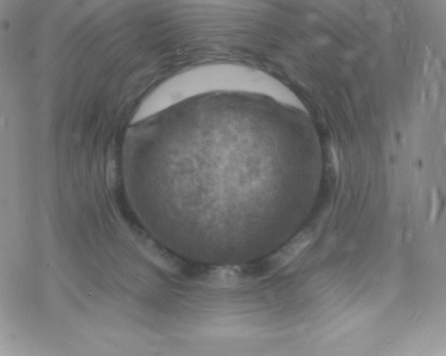 X0000070370080200606301907