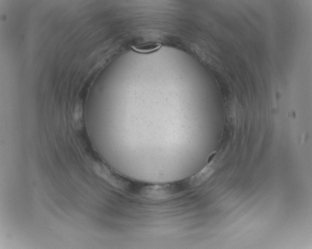 X0000070370082200606301907