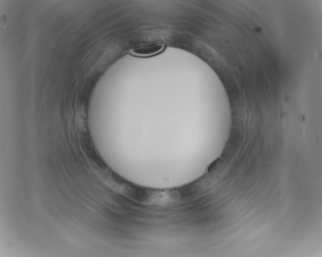 X0000070370083200606301907