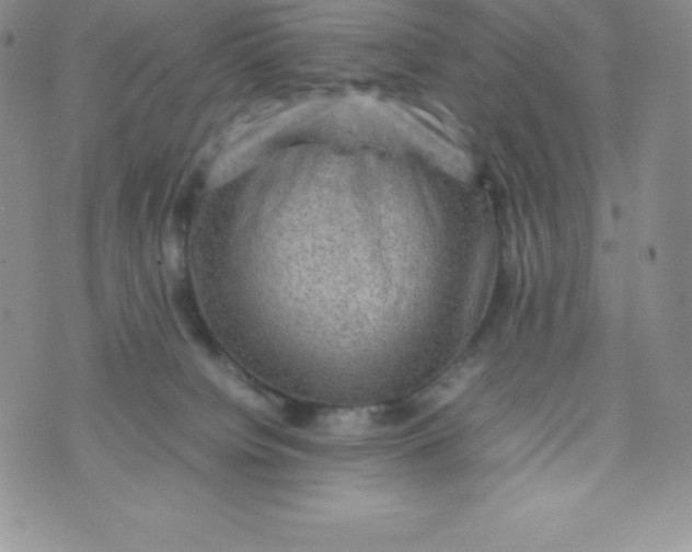 X0000070370084200606301907