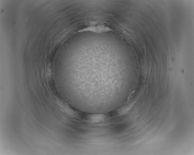 X0000070370085200606301907