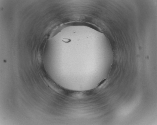 X0000070370086200606301907