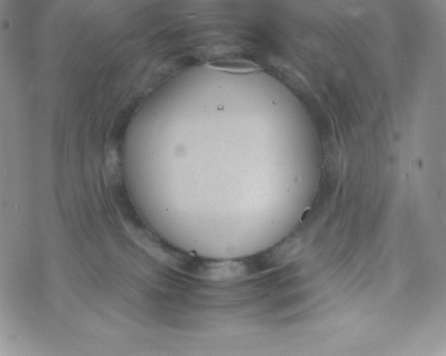 X0000070370087200606301907