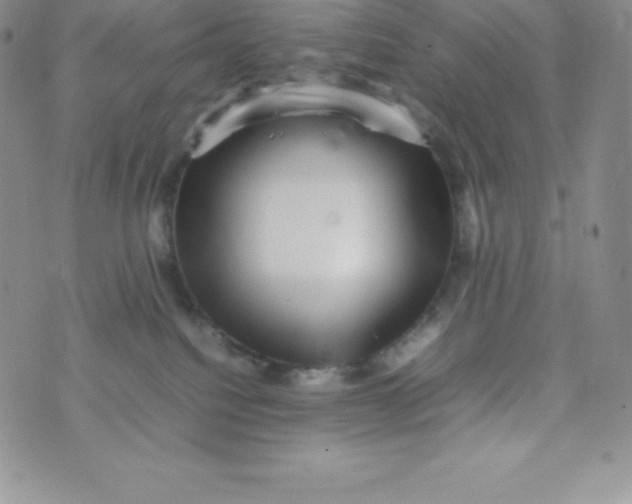 X0000070370088200606301907