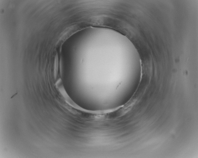 X0000070370092200606301907