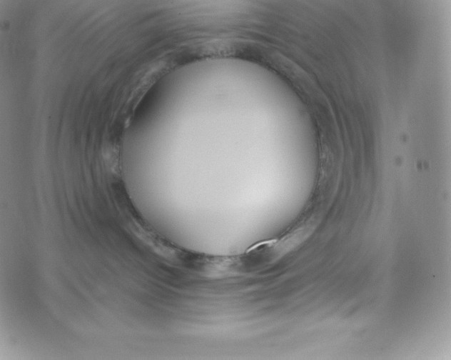 X0000070370096200606301907