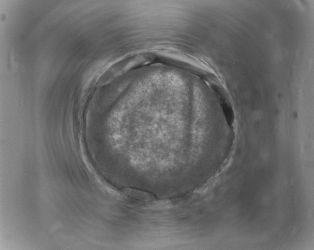 X0000070370097200606301906