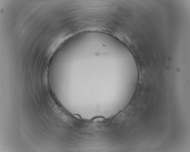 X0000070370098200606301906