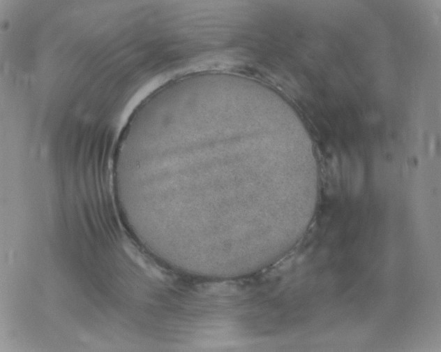 X0000070370100200606301906