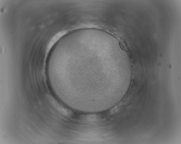 X0000070370104200606301906