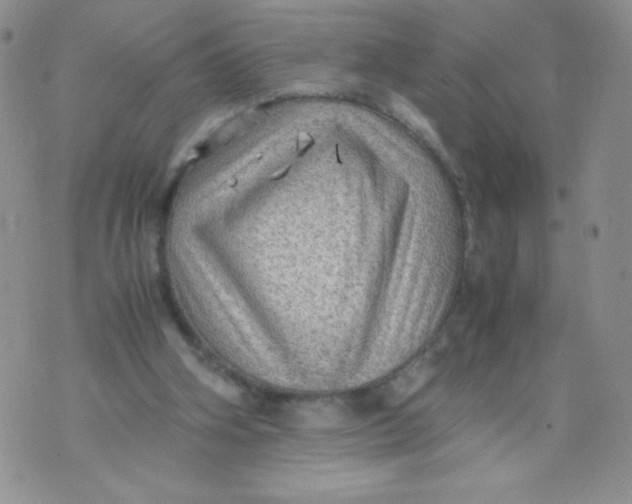 X0000070370106200606301906