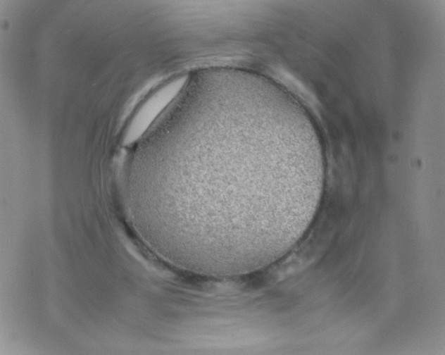 X0000070370107200606301906