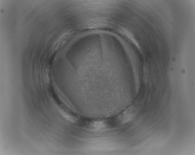 X0000070370114200606301906