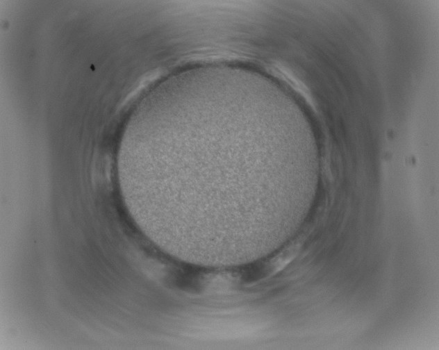 X0000070370115200606301906