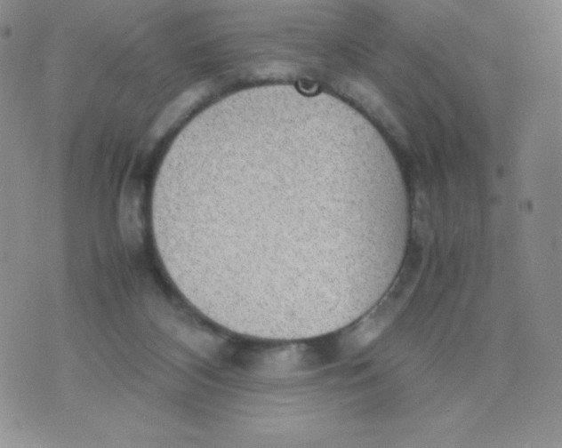 X0000070370116200606301906