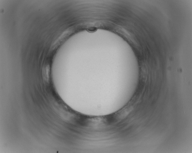 X0000070370118200606301906