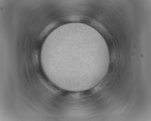 X0000070370120200606301906