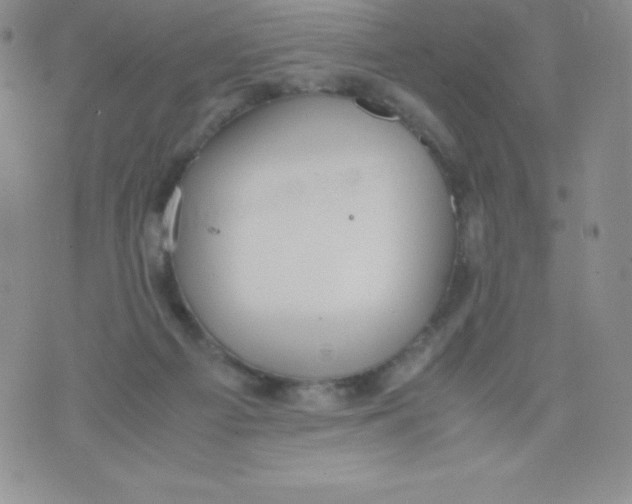 X0000070370121200606301906