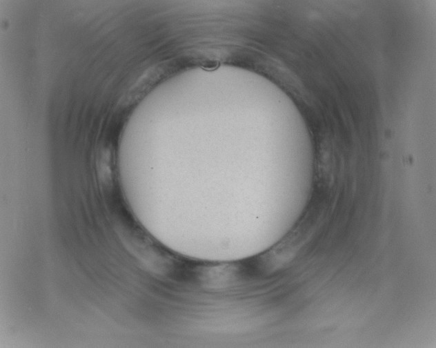 X0000070370122200606301906