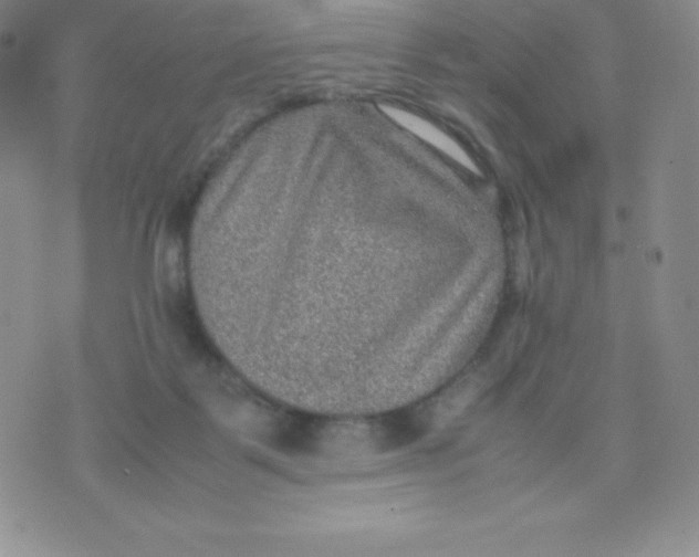 X0000070370123200606301906