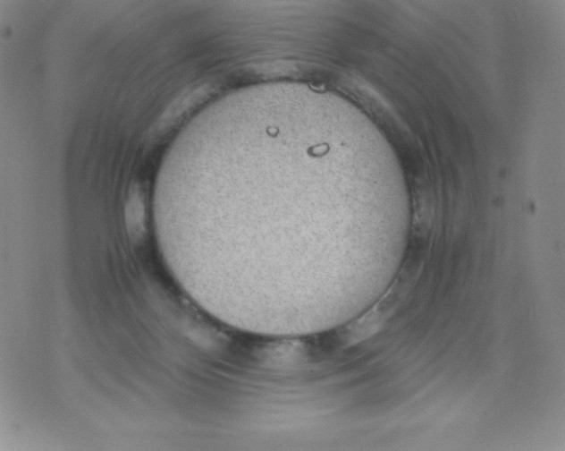 X0000070370124200606301906