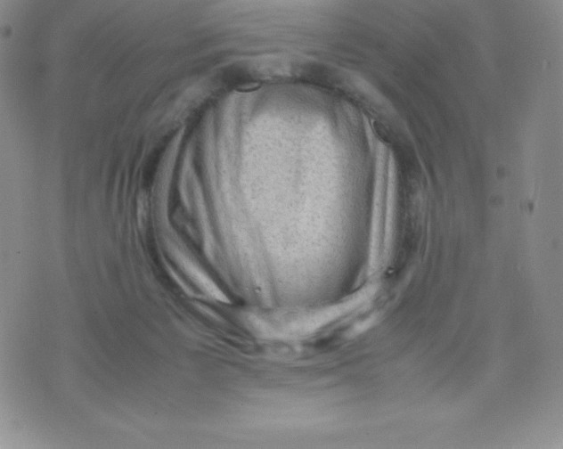 X0000070370125200606301906